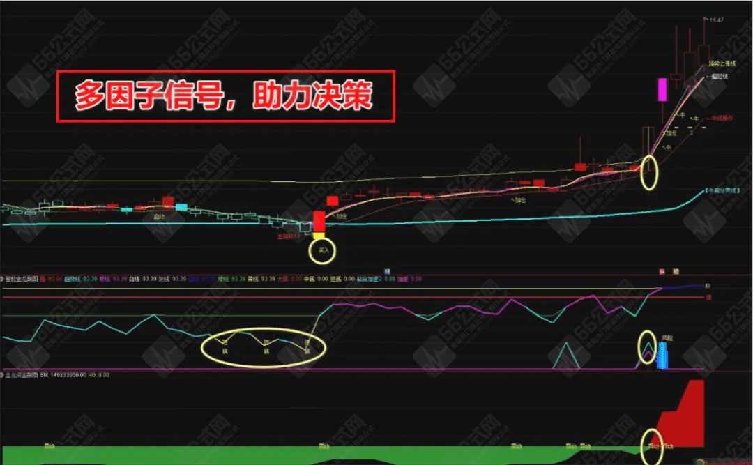 【智能金龙系统套装】 主副/选 极品指标 主龙头沉浮 三信号共振 无加密分享